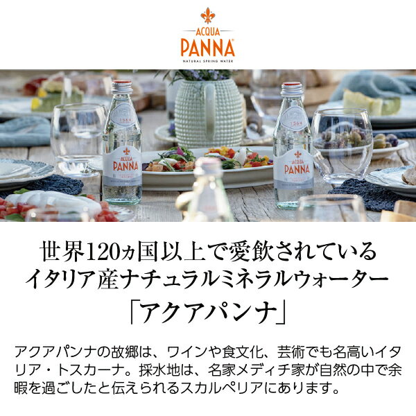 サンペレグリノ アクアパンナ ナチュラルミネラ...の紹介画像2