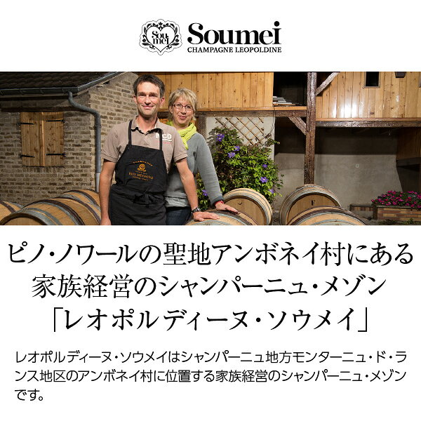 レオポルディーヌ ソウメイ シャンパーニュ ブリュット ナチュール 正規 箱なし 750ml シャンパン ピノ ノワール シャンパーニュ フランス ledled-10038396 酒類の総合専門店 フェリシティー サンプル画像2