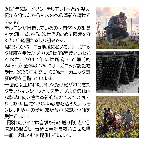 シャンパーニュ テルモン レゼルヴ ブリュット NV 2024デゴルジュ 箱なし 750ml シャンパン シャンパーニュ シャルドネ フランス ledled-10033972 酒類の総合専門店 フェリシティー サンプル画像3