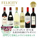 【送料無料】 先着250名様にハーゲンダッツギフト券プレゼント! イタリアの夏赤&夏白 冷やして美味しいワイン6本セット 750ml×6 飲み比べ イタリア ワ...