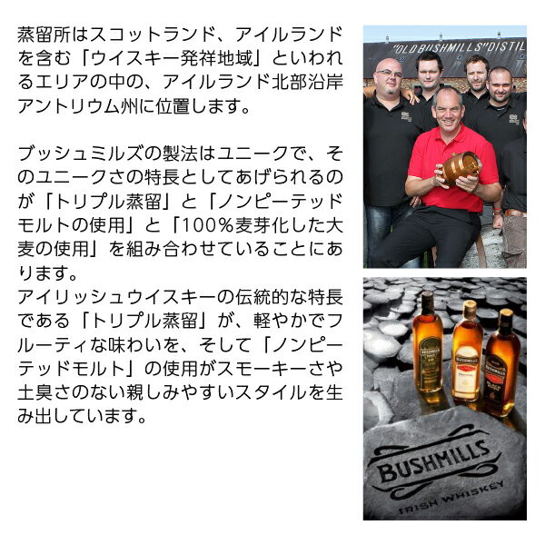 �֥å���ߥ륺 ���󥰥���� 12ǯ ������å��奦�������� 40�� ���� Ȣ�� 700ml �����Բ�