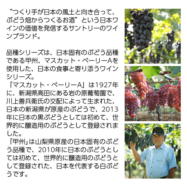 【よりどり6本以上送料無料】 サントリー フロムファーム マスカット ベーリーA 日本の赤 2021 750ml 赤ワイン 日本ワイン