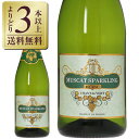 【outlet2319】【よりどり3本以上送料無料】 マスカット スパークリング シャンドヴェール 750ml【キャップ、瓶傷、ラベル不良】