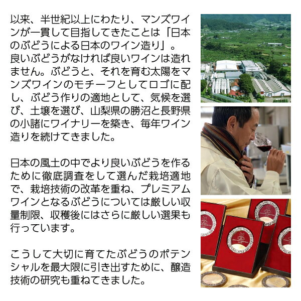 �ޥ󥺥磻�� �磻��᡼������ �߼� ����� �֥��ǡ��Ź��� �磻��î��¢ 12�� 750ml