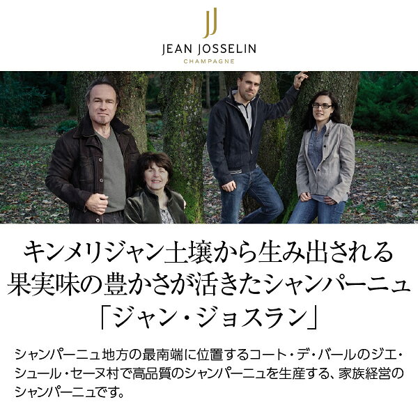 【よりどり6本以上送料無料】 シャンパーニュ ジャン ジョスラン エクストラ ブリュット キュヴェ デュ ジャン NV 箱なし 750ml シャンパン シャンパーニュ ピノ ノワール フランス ledled-10035907 酒類の総合専門店 フェリシティー サンプル画像2