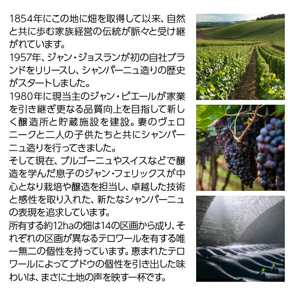 【よりどり6本以上送料無料】 シャンパーニュ ジャン ジョスラン エクストラ ブリュット キュヴェ デュ ジャン NV 箱なし 750ml シャンパン シャンパーニュ ピノ ノワール フランス ledled-10035907 酒類の総合専門店 フェリシティー サンプル画像3