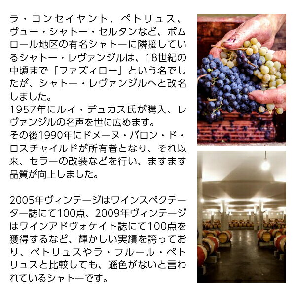 シャトー レヴァンジル 2013 750ml 赤ワイン メルロー フランス ボルドー ledled-10036507 酒類の総合専門店 フェリシティー サンプル画像3