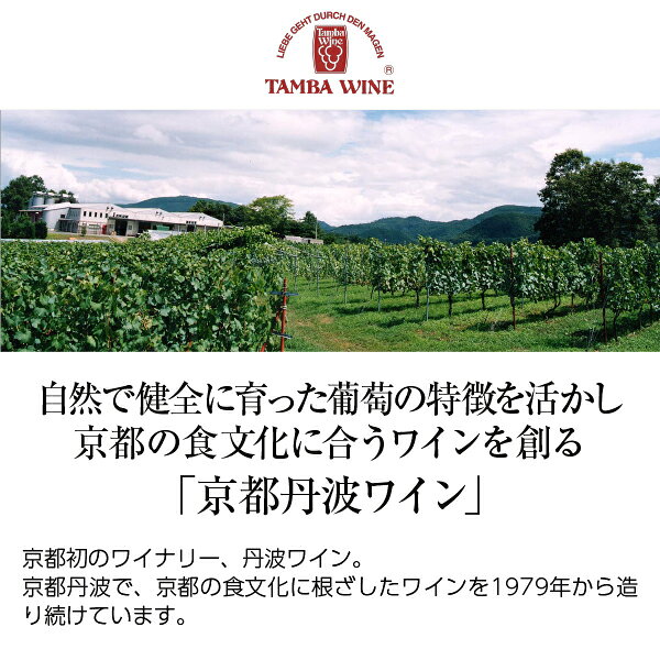 酒類の総合専門店 フェリシティーの京都丹波ワイン 京都青谷 梅わいん 500ml 梅ワイン 日本ワイン｜アングル2