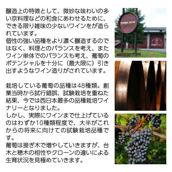 酒類の総合専門店 フェリシティーの京都丹波ワイン 京都青谷 梅わいん 500ml 梅ワイン 日本ワイン｜アングル3