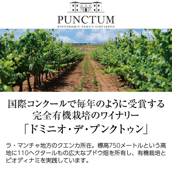 ドミニオ デ プンクトゥン ベインテミル レグアス 2024 750ml オレンジワイン シャ...