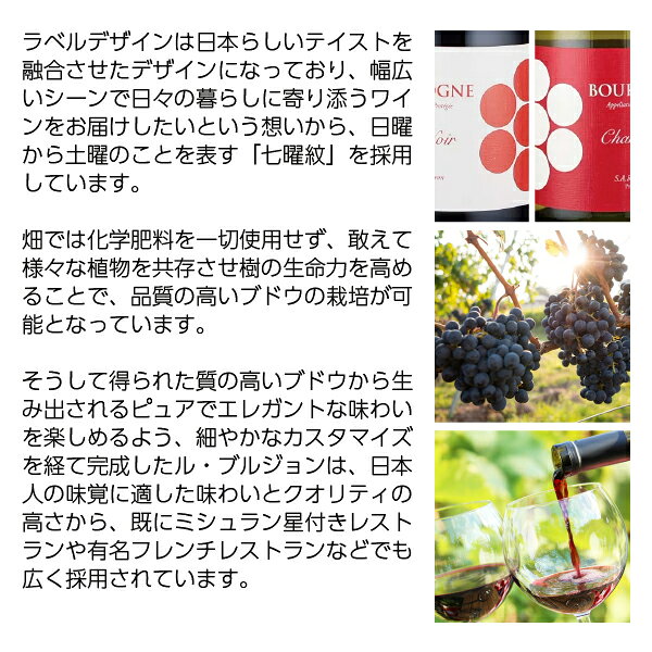 【よりどり6本以上送料無料】 ル ブルジョン ブルゴーニュ シャルドネ 2023 750ml 白ワイン フランス ブルゴーニュ ledled-10038633 酒類の総合専門店 フェリシティー サンプル画像3