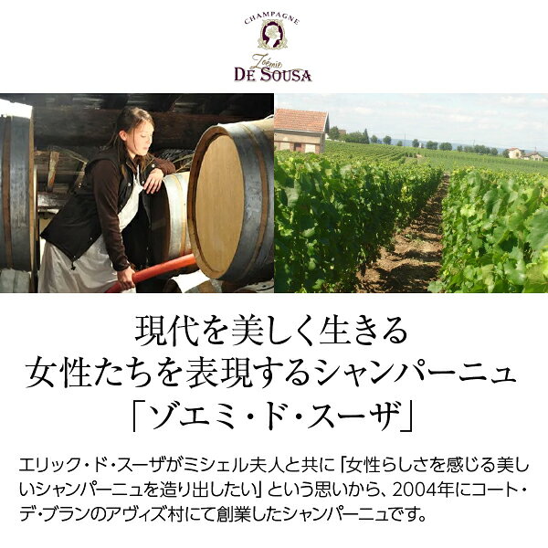 シャンパーニュ ゾエミ ド スーザ ブリュット デジラブル グラン クリュ ブラン ド ブラン NV 箱なし 750ml シャンパン シャルドネ フランス ledled-10038700 酒類の総合専門店 フェリシティー サンプル画像2