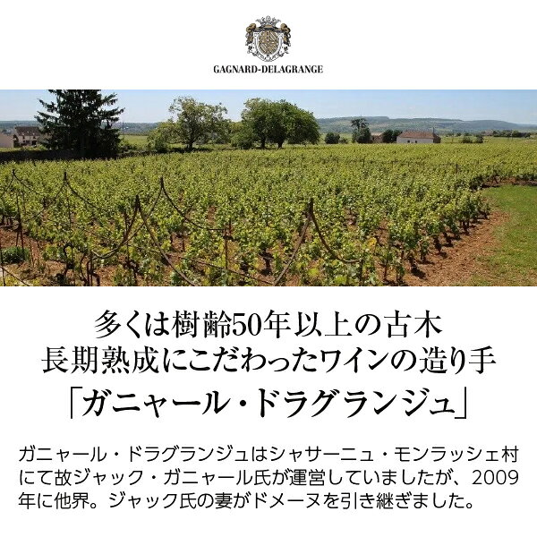 ガニャール ドラグランジュ ヴォルネイ （ヴォルネー） プルミエ クリュ シャンパン 2021 750ml 赤ワイン ピノ ノワール フランス ブルゴーニュ ledled-10038825 酒類の総合専門店 フェリシティー サンプル画像2