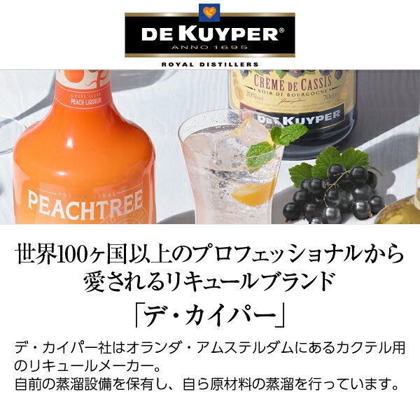 酒類の総合専門店 フェリシティーのデカイパークレーム ド バナナ リキュール 15度 正規 700ml｜アングル2