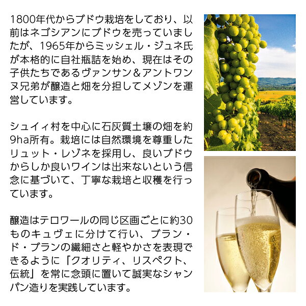 ミッシェル ジュネ シャンパーニュ MG BB ヴィンテージ ブラン ド ブラン グラン クリュ 2017 箱なし 750ml シャンパン シャルドネ フランス ledled-10040072 酒類の総合専門店 フェリシティー サンプル画像3