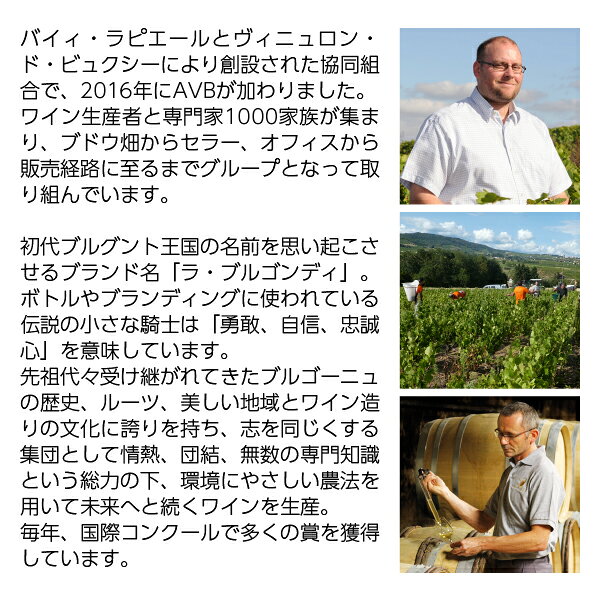 ポイント3倍 【よりどり3本以上送料無料】 ラ カンパニー ド ブルゴンディ ブルゴーニュ アリゴテ ブラン 2023 750ml 白ワイン フランス ledled-10024707 酒類の総合専門店 フェリシティー サンプル画像3