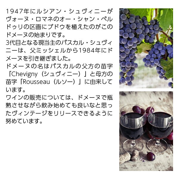 酒類の総合専門店 フェリシティーのドメーヌ シュヴィニー ルソー ニュイ サン ジョルジュ 2018 750ml 赤ワイン ピノノワール フランス ブルゴーニュ｜アングル3