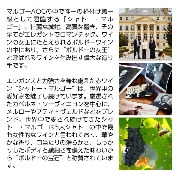 【送料無料】格付け第1級 パヴィヨン ブラン デュ シャトー マルゴー 2021 750ml 白ワイン ソーヴィニヨン ブラン フランス ボルドー ledled-10041246 酒類の総合専門店 フェリシティー サンプル画像3