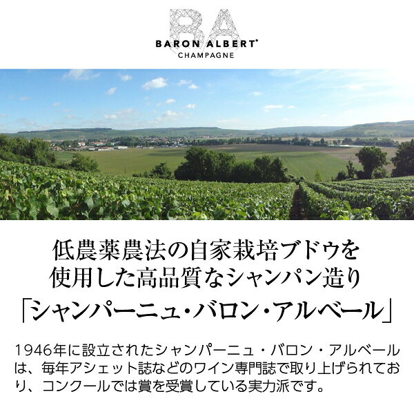 【よりどり3本以上送料無料】 シャンパーニュ バロン アルベール ジャン ド ラ フォンテーヌ ランディシプリネ ブラン ド ブラン ブリュット 箱なし 750ml シャンパン シャンパーニュ シャルドネ フランス ledled-10017759 酒類の総合専門店 フェリシティー サンプル画像2