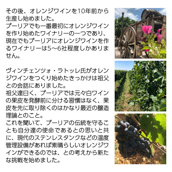 【よりどり3本以上送料無料】カンティーネ インペラトーレ アウランティア 2023 75...
