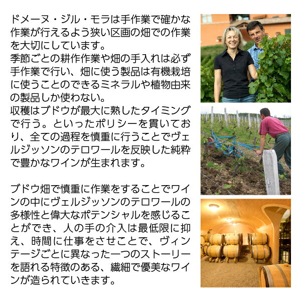 【よりどり3本以上送料無料】 ドメーヌ ジル モラ プイィ フュイッセ クリマ オー ヴィーニュ ドゥシュ 2022 750ml 白ワイン シャルドネ フランス ブルゴーニュ ledled-10018414 酒類の総合専門店 フェリシティー サンプル画像3