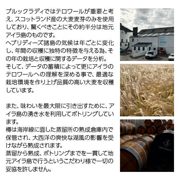 【03/05入荷予定】【送料無料】 ブルックラディ（ブルィックラディ ブルイックラディ） ザ クラシック ラディ 10年 アイラ シングルモルト ウイスキー 50度 正規 箱なし 700ml 包装不可