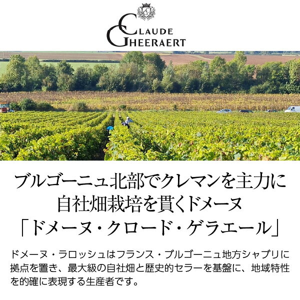 【よりどり6本以上送料無料】ドメーヌ クロード ゲラエール クレマン ド ブルゴーニュ ピノ ノワール ノン ドゼ 750ml スパークリングワイン フランス ブルゴーニュ ledled-10042346 酒類の総合専門店 フェリシティー サンプル画像2