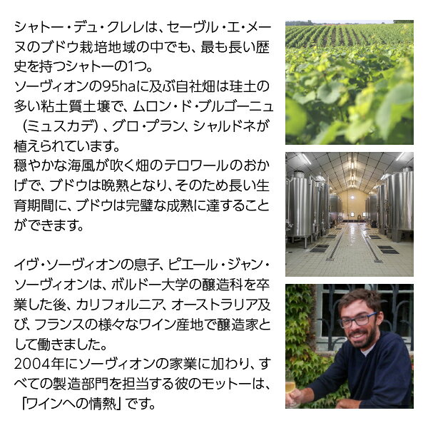 ポイント5倍 【よりどり3本以上送料無料】ソーヴィオン レ グラヴィエール デュ ロ...