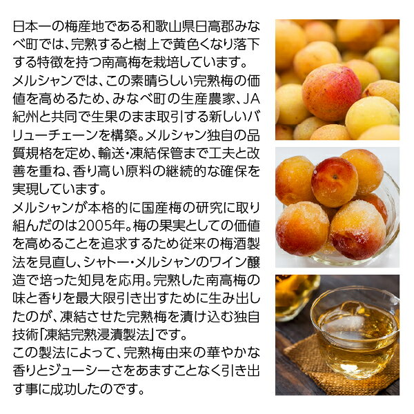 酒類の総合専門店 フェリシティーのメルシャン 完熟あらごし梅酒 梅まっこい 10度 720ml｜アングル3