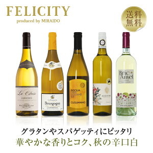 400円OFFクーポン対象 【2】季節と楽しむワイン! 秋の白ワイン 5本セット 第1弾 750ml×5 飲み比べ 白 ワイン セット 【送料無料】【包装不可】