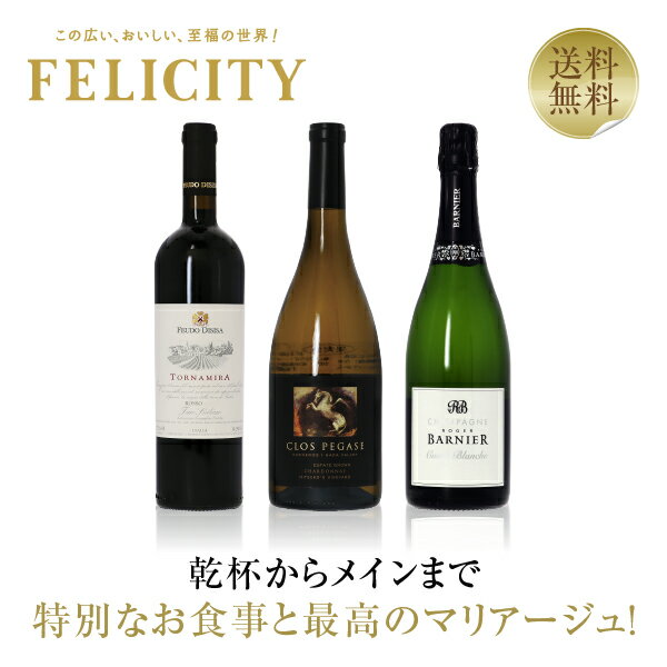 550円OFFクーポン対象 【20】特別な日のフルコースワイン（泡・白・赤）3本セット 第21弾 750ml×3 飲み比べ 赤ワイン 白ワイン ワイン セット 【送料無料】【包装不可】