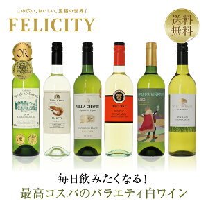 200円OFFクーポン対象 【11】毎日飲みたい！最高コスパワイン バラエティ 白ワイン 6本セット 第20弾 750ml×6 飲み比べ ワイン セット 【送料無料】【包装不可】