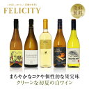 ワイン飲み比べセット 400円OFFクーポン対象 【2】季節と楽しむワイン！ 初夏の白ワイン 5本セット 第1弾 750ml×5 飲み比べ 白 ワイン セット 包装不可