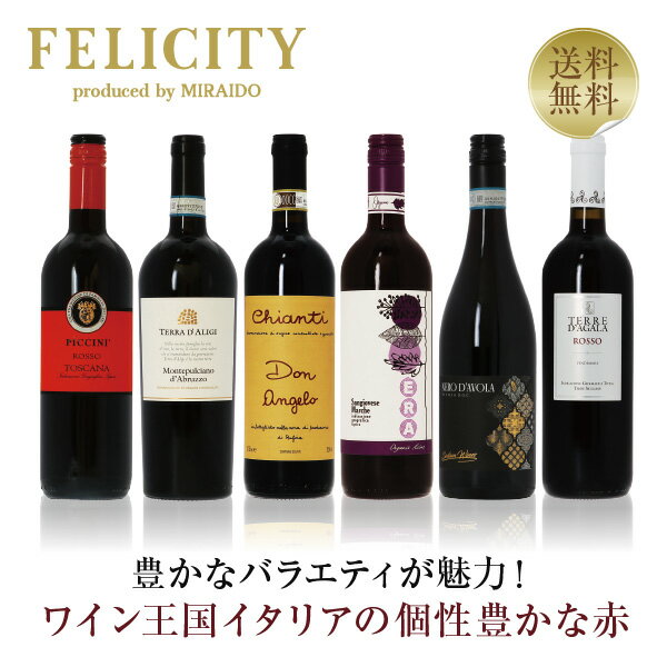 300円OFFクーポン対象 【6】ワイン王国「イタリア」の赤ワイン6本セット 第33弾 750ml×6飲み比べ ワイン セット 【送料無料】【包装不可】