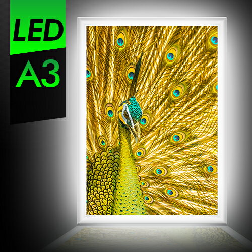 LEDパネル A3 LED看板 軽量アルミフレーム