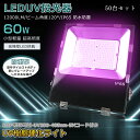 【50台セット】最新UVライトで除菌! 紫外線ライト LED投光器 消費電力60W 全光束12000lm UVライト 強力 ブラックライト 投光器 ステー付き ...