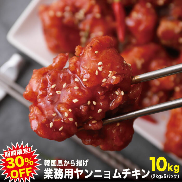 【翌日発送・期間限定30％OFF!】業務用 冷凍 ヤンニョムチキン どぶ漬け ソースセット ポスターPDFデー..