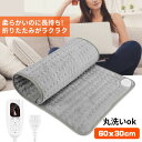 在庫処分 3980円⇒2980円 ホットマット ホットカーペット 60×30cm 加熱パッド 電気毛 ...