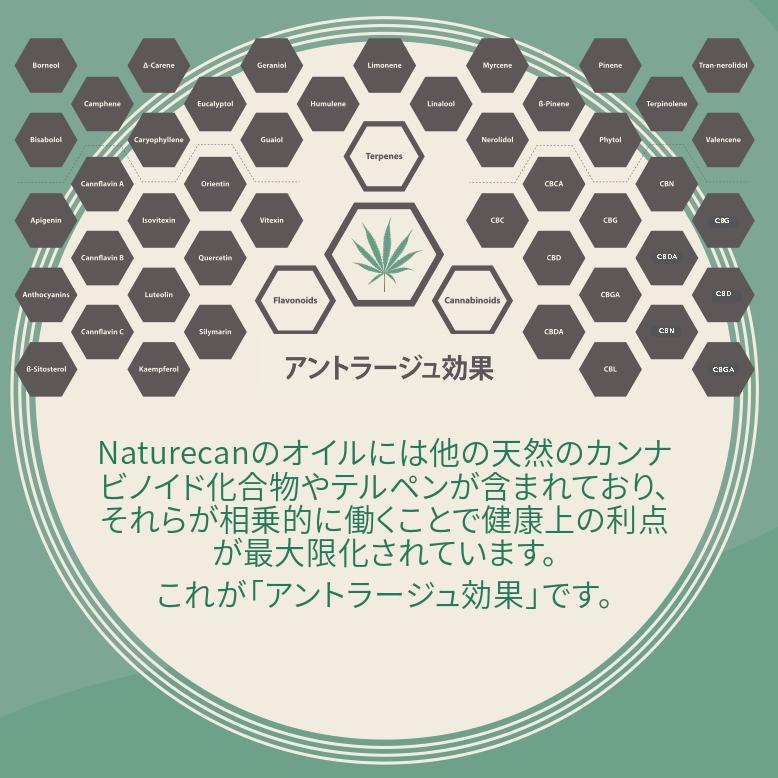 CBDオイルブロードスペクトラムCBD2000mg内容量10ml濃度20%NATURECAN(ネイチャーカン)