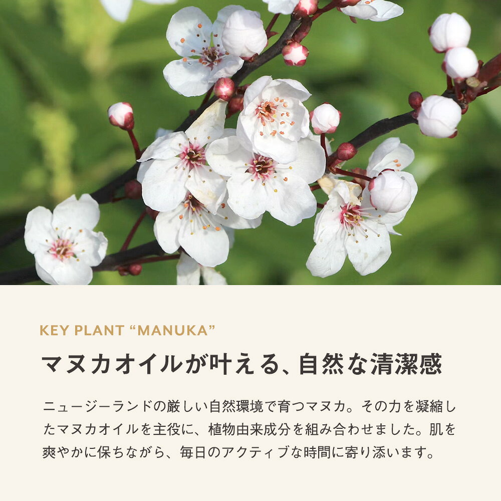 【新発売】マヌカ デオバーム 20g スティック バーム ナチュラル デオドラント ロ...