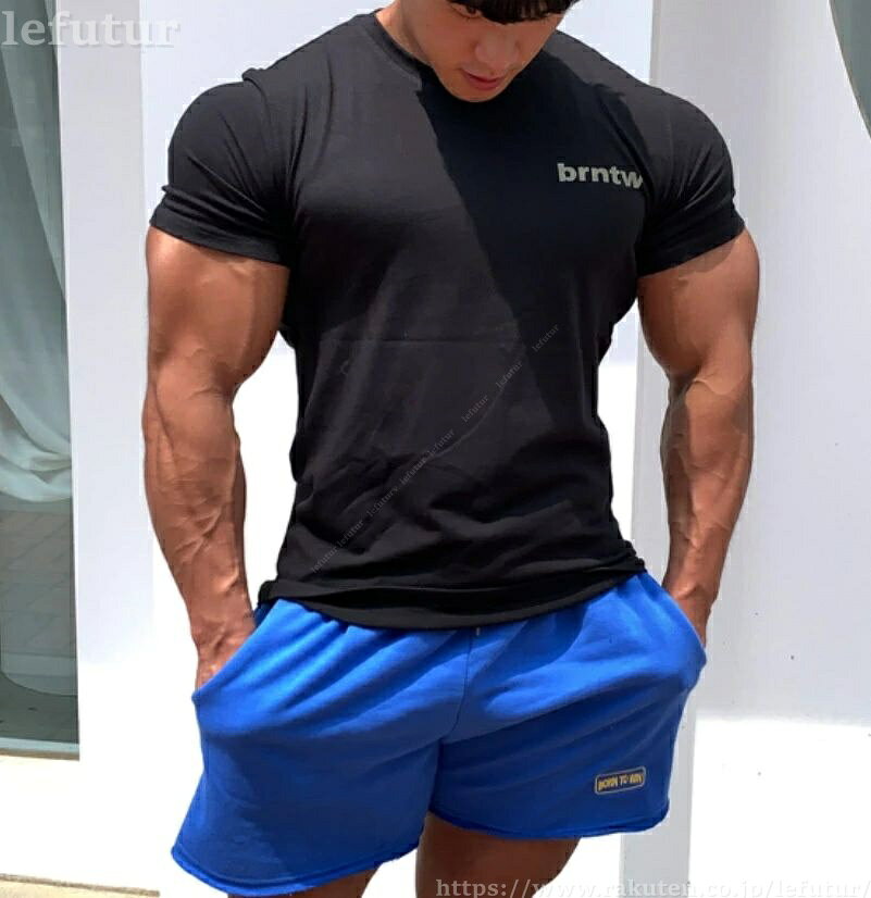 ������̵����KC-���� �礭�������� T����� ��� Ⱦµ �ե��åȥͥ������� ���ݡ��� �ڥȥ� ���� �ȥ졼�˥󥰥����� ������� �����奢��ȥåץ� ����