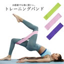トレーニングバンド トレーニングチューブ エクササイズバンド ゴムバンド ヒップアップ バンド トレーニング器具 美尻 筋トレ ヨガ 室内 自宅エクササイズ ダイエット 滑り止め ヨガ用具 秋新作(4)