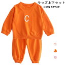 【送料無料】Tシャツ 長ズボン キッズ 上下 セットアップ ジュニア 長袖 女の子 パーカー ロングパンツ かわいい 子供 ゆったり ガールズ 女児 おしゃれ シンプル 2点セット 秋新作