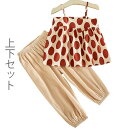 【最大10%offクーポン&ポイント2倍】【送料無料】セットアップ 子供服 上下セット キャミソール ロングパンツ フレアキャミ ドット柄 ジョガーパンツ 薄手...