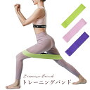【ネコポス送料無料】トレーニングバンド トレーニングチューブ エクササイズバンド ゴムバンド ヒップアップ バンド トレーニング器具 美尻 筋トレ ヨガ 室内 自宅エクササイズ ダイエット 滑り止め ヨガ用具 秋新作(4)
