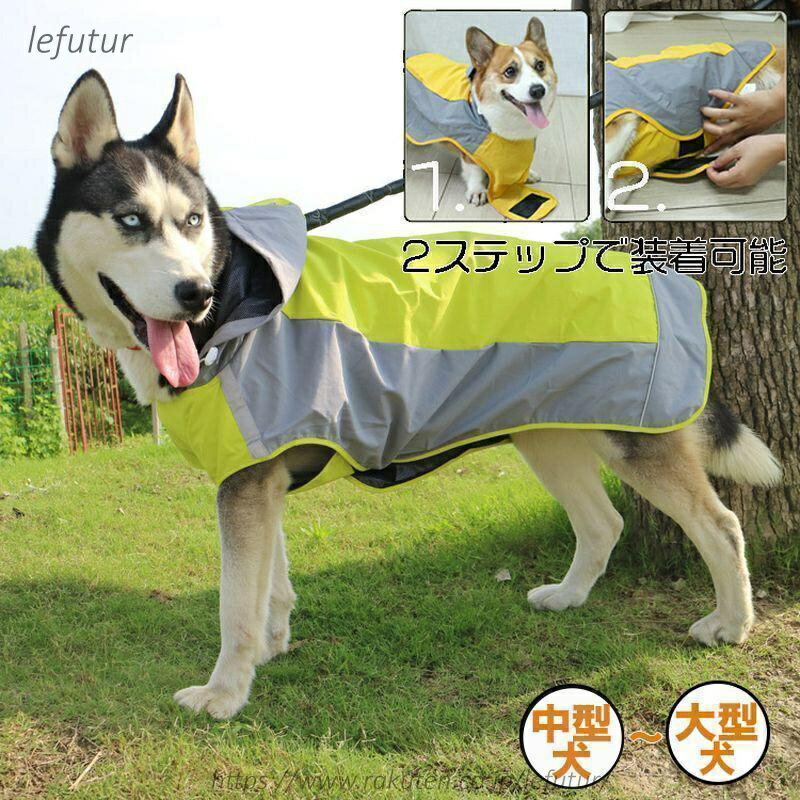 ������̵���ۥ쥤�󥳡��� �� �淿�� �緿�� �� �쥤�󥳡��� �夻�䤹�� ���� �쥤�󥳡��� �Ƹ� �쥤�󥳡��� ���� ���ä� �ɿ� �籩 ���� ���å�