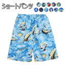 【Fashion SALE&半額商品多数&お得クーポン】海パン ショートパンツ メンズ 5分丈 ハーフパンツ 花柄 リーフ柄 大きいサイズ ビーチ 海 短パン ...