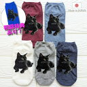 【土日限定ポイント5倍!当店全商品対象】◯8月末まで黒猫柄ボトルカバープレゼント!◯【選べる3足・5足セット 送料無料】黒猫柄 スニーカーソックス 選べる くる...