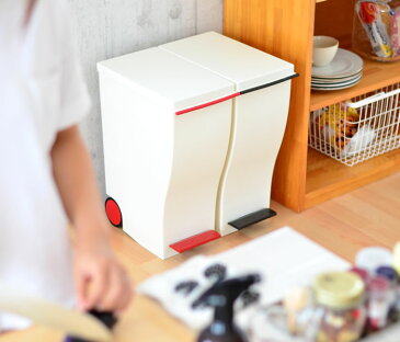 ゴミ箱【 送料無料 】 KCUD クード 30L 30リットル ごみ箱 ふた付き ペダル ダストBOX ダストボックス くずかご 分別 キッチン 縦型 スリム ふた付 楽天 02P02Mar14 楽天 240147