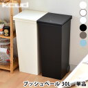 ゴミ箱 kcud SQUARE Push Pail クード スクエア プッシュペール　ごみ箱 ダストBOX ダストボックス くずかご 分別 キッチン 縦型 スリム 北欧 ふた付 おしゃれ ふた付き 02P02Mar14 楽天 240147